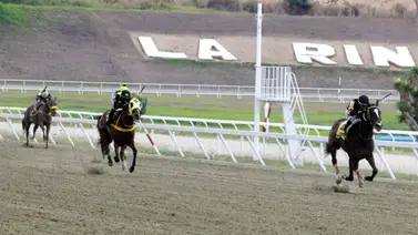 Tras su impresionante ajuste esta yegua es una de las fijas y no la olviden al momento de sellar el 5y6 Tras su impresionante ajuste esta yegua es una de las fijas y no la olviden al momento de sellar el 5y6