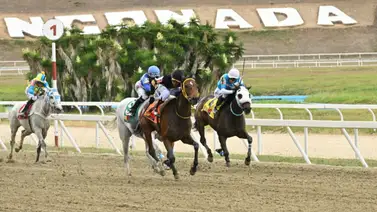 Este ejemplar logra el mejor ajuste en La Rinconada y es duro rival de una de las líneas nacionales del 5y6 Este ejemplar logra el mejor ajuste en La Rinconada y es duro rival de una de las líneas nacionales del 5y6