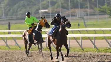 Cómo ajustó este caballo debe ser fijo en la última válida de la reunión nueve en La Rinconada Cómo ajustó este caballo debe ser fijo en la última válida de la reunión nueve en La Rinconada