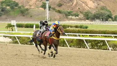 Descubre el ajuste de este caballo que se perfila como una de las líneas del 5y6 nacional en La Rinconada Descubre el ajuste de este caballo que se perfila como una de las líneas del 5y6 nacional en La Rinconada