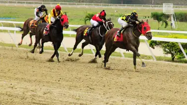 No pasen por alto a este ejemplar porque con su ajuste excepcional lo posiciona como un fuerte rival para el Clásico Socopó No pasen por alto a este ejemplar porque con su ajuste excepcional lo posiciona como un fuerte rival para el Clásico Socopó