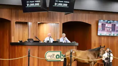 Productos de Maxfield y Nyquist superan el millón de dólares en venta Productos de Maxfield y Nyquist superan el millón de dólares en venta