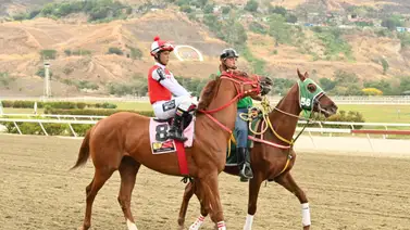 Favoritos de la cátedra para el 5y6 Nacional de la reunión N°9 en el hipódromo La Rinconada Favoritos de la cátedra para el 5y6 Nacional de la reunión N°9 en el hipódromo La Rinconada