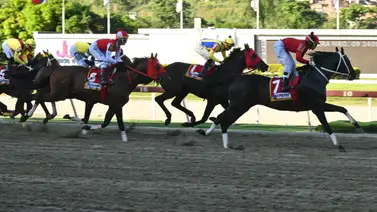 Aquí lo observamos en plena carrera en el óvalo caraqueño. Aquí lo observamos en plena carrera en el óvalo caraqueño.
