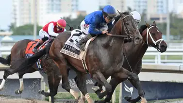 Junior Alvarado con oportunidad de ganar por primera vez el Kentucky Derby Junior Alvarado con oportunidad de ganar por primera vez el Kentucky Derby