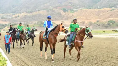 Datos de última hora para el Hipódromo Internacional La Rinconada 16-3-2025 Datos de última hora para el Hipódromo Internacional La Rinconada 16-3-2025