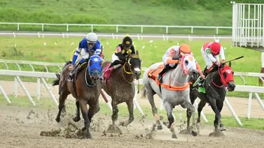 Podrá este ejemplar seguir con la racha de cuatro triunfos en la distancia de 1.200 metros en La Rinconada Podrá este ejemplar seguir con la racha de cuatro triunfos en la distancia de 1.200 metros en La Rinconada