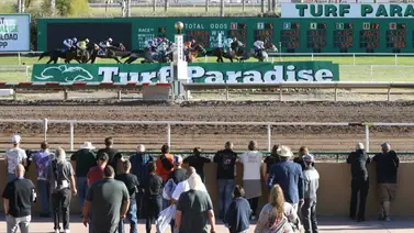 Turf Paradise con un festival de seis Stakes este sábado Turf Paradise con un festival de seis Stakes este sábado