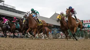 Este sábado se corre en Aqueduct el Jimmy Winfield Stakes de $125,0000 Este sábado se corre en Aqueduct el Jimmy Winfield Stakes de $125,0000