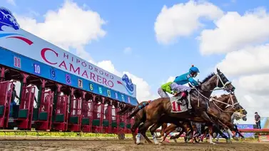 Estas serán las próximas sedes del Clásico del Caribe Estas serán las próximas sedes del Clásico del Caribe