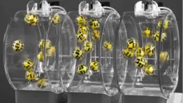 Loterías en Venezuela: Panchita te da los mejores pronósticos para los sorteos de este lunes 17 de marzo