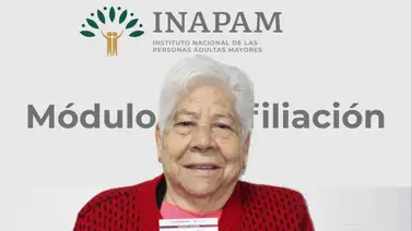 Instituto Nacional de las Personas Adultas Mayores (INAPAM) Mexico Instituto Nacional de las Personas Adultas Mayores (INAPAM) Mexico
