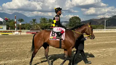 Casi 19 mil dólares pagó el 5y6 de La Rinconada este domingo 16-3-2025 Casi 19 mil dólares pagó el 5y6 de La Rinconada este domingo 16-3-2025