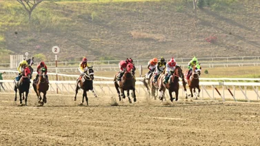 Junta de Comisarios del INH llaman a entrevista a este entrenador y jockey aprendiz