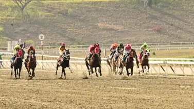 Junta de Comisarios del INH llaman a entrevista a este entrenador y jockey aprendiz Junta de Comisarios del INH llaman a entrevista a este entrenador y jockey aprendiz