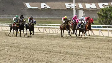 La Rinconada: Comisarios inician averiguación administrativa a jinete y entrenador La Rinconada: Comisarios inician averiguación administrativa a jinete y entrenador