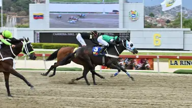 Consecuencias para tres jinetes: Sanciones tras realizada la Reunión 9 Consecuencias para tres jinetes: Sanciones tras realizada la Reunión 9