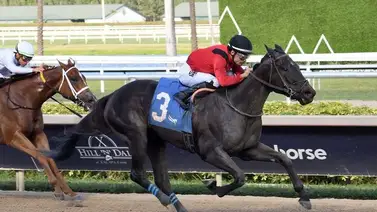 Junior Alvarado gana Stakes con una hija del triple coronado American Pharoah Junior Alvarado gana Stakes con una hija del triple coronado American Pharoah