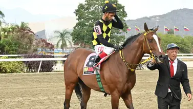 Entérate del éxito de Mi Querida Emma tras su impresionante victoria selectiva Entérate del éxito de Mi Querida Emma tras su impresionante victoria selectiva