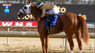 Hijo de triplecoronado que costó $750,000 galopó a sus rivales camino al Derby Hijo de triplecoronado que costó $750,000 galopó a sus rivales camino al Derby