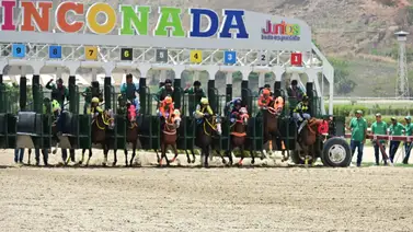 El cuarto domingo de marzo se llena de adrenalina con diez carreras en la reunión 10 de La Rinconada El cuarto domingo de marzo se llena de adrenalina con diez carreras en la reunión 10 de La Rinconada