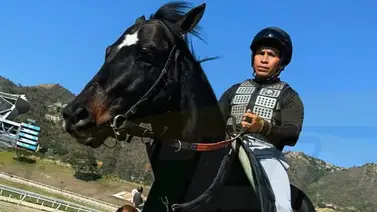 Ejemplar que costo 900.000$ a los dos años hace su debut en La Rinconada Ejemplar que costo 900.000$ a los dos años hace su debut en La Rinconada