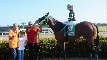 Jinete venezolano logró triple de victorias en República Dominicana Jinete venezolano logró triple de victorias en República Dominicana
