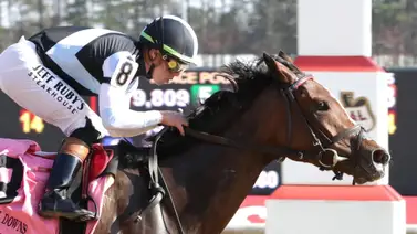 Irad Ortiz Jr no dejó coger tierrita en el Virginia Oaks de $250,000 Irad Ortiz Jr no dejó coger tierrita en el Virginia Oaks de $250,000