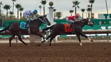 Karlo López con mejor año que la temporada pasada en Turf Paradise y pelea la estadística Karlo López con mejor año que la temporada pasada en Turf Paradise y pelea la estadística