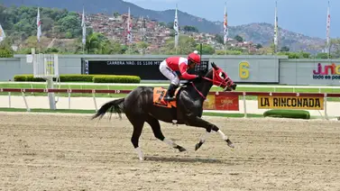 Pendientes: La yegua que se destaca como favorita reaparece en La Rinconada después de 112 Días Pendientes: La yegua que se destaca como favorita reaparece en La Rinconada después de 112 Días