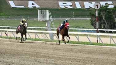 Herencia de Campeón: Nieto del ganador del clásico Simón Bolívar (GI) reaparece después de 112 días