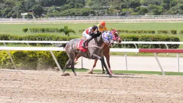 Recuerdas a la potra más costosa de Unicria 2022: ¡Bueno regresa a la competencia después de 231 días! Recuerdas a la potra más costosa de Unicria 2022: ¡Bueno regresa a la competencia después de 231 días!