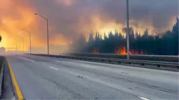 Incendio forestal en Miami-Dade cierra carreteras clave