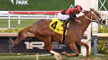 Víctor Barboza Jr a dos de las 600 victorias en Estados Unidos Víctor Barboza Jr a dos de las 600 victorias en Estados Unidos