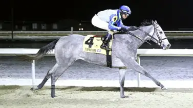White Rocks se juega su invicto en los $300 mil del Bourbonette Oaks White Rocks se juega su invicto en los $300 mil del Bourbonette Oaks