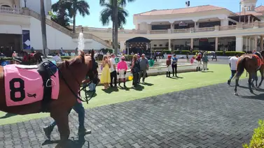 Aquí el Best Best y los Picks para la jornada en Gulfstream Park 19-3-2025 Aquí el Best Best y los Picks para la jornada en Gulfstream Park 19-3-2025