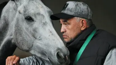 Una sorpresa y un fijo son los ejemplares que recomienda Rubén Lanz para la reunión 10 (+Video) Una sorpresa y un fijo son los ejemplares que recomienda Rubén Lanz para la reunión 10 (+Video)