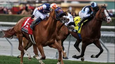 Gold Phoenix múltiple ganador de pruebas de grado reaparece este sábado Gold Phoenix múltiple ganador de pruebas de grado reaparece este sábado