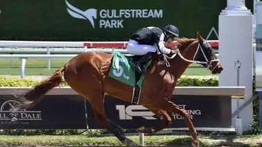 Leonel Reyes Ramos gana la primera del miércoles en Gulfstream Park con un hijo de Gun Runner Leonel Reyes Ramos gana la primera del miércoles en Gulfstream Park con un hijo de Gun Runner