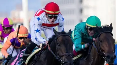 Regresa este sábado el ganador de la Pegasus World Turf Invitational 2025 Regresa este sábado el ganador de la Pegasus World Turf Invitational 2025