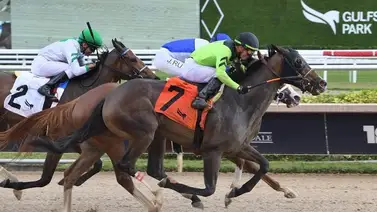Emisael Jaramillo se une a la fiesta de victorias del miércoles en Gulfstream Park Emisael Jaramillo se une a la fiesta de victorias del miércoles en Gulfstream Park