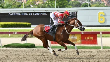 Con una apuesta totalmente ganadora así quedó el ajuste de la gran opción de Gaceta Hípica para el 5y6 dominical