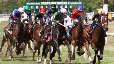Jockey venezolano cierra jornada del miércoles en Tampa Bay con batacazo de $63,40 