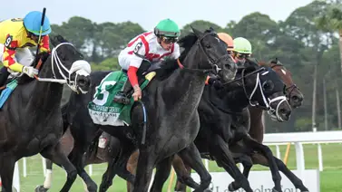 Jinetes criollos ganan cinco de las seis del Pick 6 en Tampa que paga $85,049,56 Jinetes criollos ganan cinco de las seis del Pick 6 en Tampa que paga $85,049,56