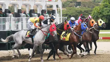 Un fijo en la R10: El ejemplar que brilla con el mejor ajuste en La Rinconada Un fijo en la R10: El ejemplar que brilla con el mejor ajuste en La Rinconada