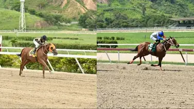 Pendiente con estos dos ejemplares que tienen siete meses sin ganar y buscarán su primera victoria del 2025 en La Rinconada Pendiente con estos dos ejemplares que tienen siete meses sin ganar y buscarán su primera victoria del 2025 en La Rinconada