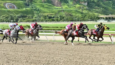 En carrera pareja este ejemplar da por video y de ganar podría ofrecer un excelente dividendo en La Rinconada