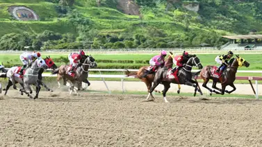 En carrera pareja este ejemplar da por video y de ganar podría ofrecer un excelente dividendo en La Rinconada En carrera pareja este ejemplar da por video y de ganar podría ofrecer un excelente dividendo en La Rinconada