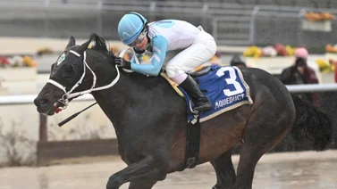 Caballo de Jorge Delgado será parte de la jornada de la Dubai World Cup