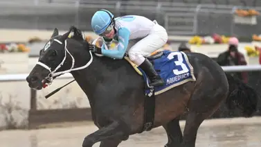 Caballo de Jorge Delgado será parte de la jornada de la Dubai World Cup Caballo de Jorge Delgado será parte de la jornada de la Dubai World Cup